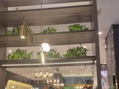 -刘胖子家常菜·蹄花焖藕(中南店)