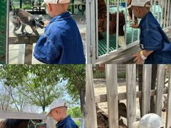 -水上乐园·欢乐世界