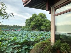-湖畔居茶楼(湖滨店)