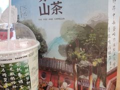 -雾与山茶(大禹城店)
