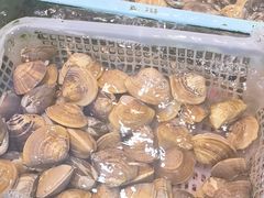 -鑫悦楼煎蟹·16年海鲜大排档