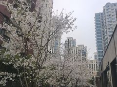 -玛格萝妮比萨屋(四平店)
