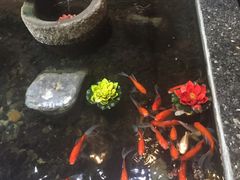 -樱蘭·影院足道·养生SPA(三里屯店)