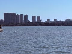 -蠡湖大桥公园