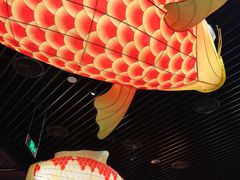 -肥福排档(星光店)