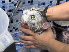 -FAELING PETS美天灵宠物(富力广场店)