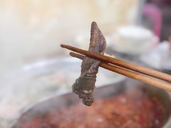 现划鳝鱼-储奇门鳝鱼火锅(总店)