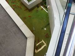 android_upload_pic-新兴园饺子馆(河南街店)