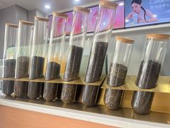 -雾与山茶(大禹城店)