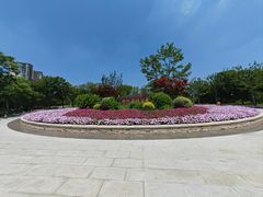 -新江湾城公园