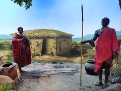 -国家自然博物馆