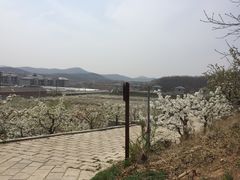-大连北马山庄