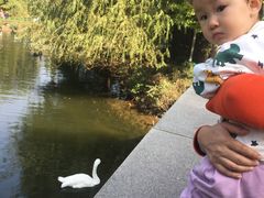 -长白岛森林公园