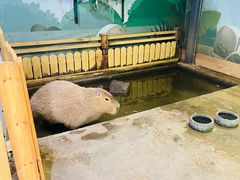 -太阳岛度假酒店