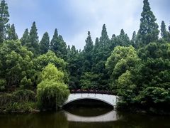 -东平国家森林公园