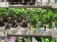 -鹿岛生活(熙地港店)
