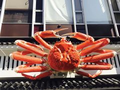 -蟹道乐(道顿堀本店)