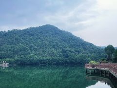 -桃花岭景区
