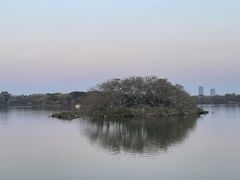 -海珠湖公园