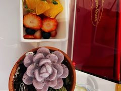-哈根达斯(皇城恒隆广场店)