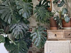 -AHAVA·Fang Baking Studio
