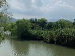 -长兴太湖图影湿地文化园