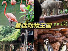 -长鹿旅游休博园