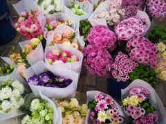 -秦美花卉(天朗·莱茵小城2期店)