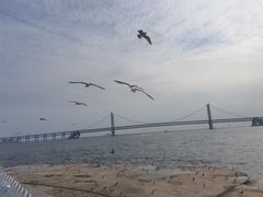 -星海广场