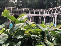 -新大新(东山广场店)