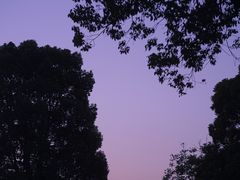 -上海月湖雕塑公园