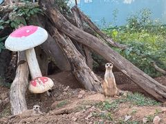 -无锡动物园·太湖欢乐园