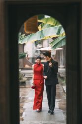 -大象映画旗舰店