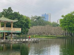 -晓港公园