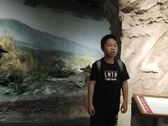 -东莞展览馆