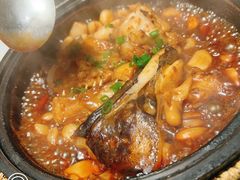 砂锅碟鱼头-双合园·海鲜水饺青岛菜(大尧三路店)