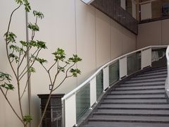 -云天楼国鼎喜宴中心(国鼎店)
