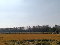 -嘉北郊野公园