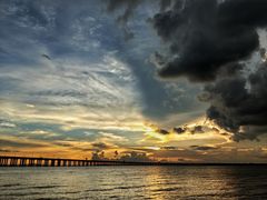 -宝安西湾红树林湿地公园