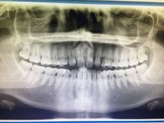 -上海天伦医院