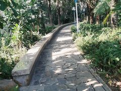 -深圳龙潭公园