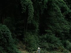 -青城山