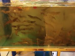 -2048香辣虾(七星岗店)