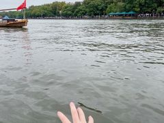 -西湖游船