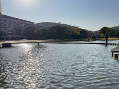 -上海佘山世茂艾美酒店