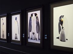 -罗红摄影艺术馆