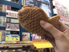 -秋叶原电器街