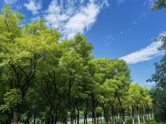 -永定河休闲森林公园