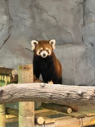 -Zoolung Zoolung动物主题公园(海信广场店)