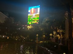 -拉斯维加斯永利酒店